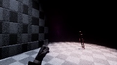 Asym horror game Test          FLASHING LIGHTS WARNING: