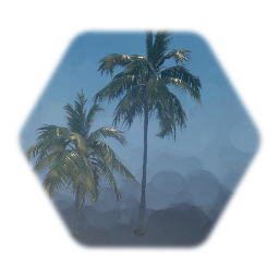 Remix of Coconut Palm