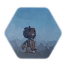 Reof Me as sackboy