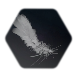 Feather