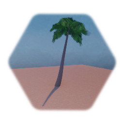 Palmera - 21/2/2020