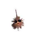 o0aynis0o