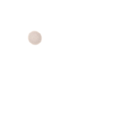 FFV SHADER