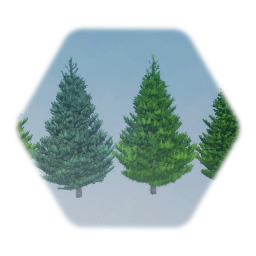 Christmas Trees for Lot