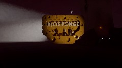 BIOSPONGE