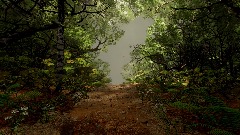Forest Arch Path