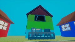 Idiot house