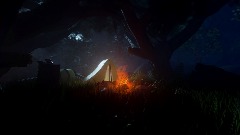 By the Campfire