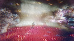 Footsteps of the Heart