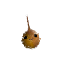 BlastThePope