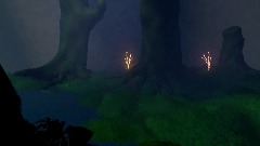 Moss forest
