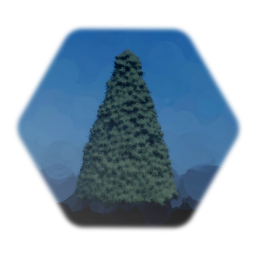 Evergreen Tree