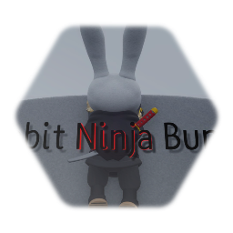 Rabbit Ninja Bunny