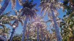 A screenshot taken in Dreams. 2 of 3.