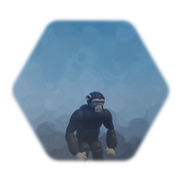 Chimpanzee