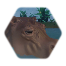 Hippopotamus