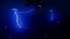 A screenshot taken in Dreams. 4 of 6.