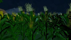 The Little Green Man