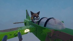 Chat aviateur