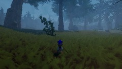 Sonic Forest