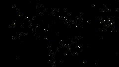 SURVIVE Full Version