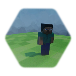 Steve enemy test