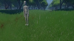 The forest