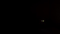 Scary game mascotthe