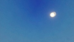 A screenshot taken in Dreams. 2 of 2.