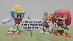 Sonic's Multiplayer Adventure