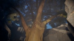 Robin theme short...