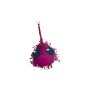 CalyboDev2