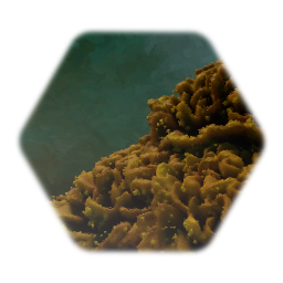 Coral (Turbinaria)