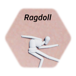 <clue>Ragdoll