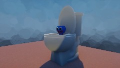 The toilet