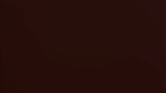 Kokiri shop lvl 3 pre purchase