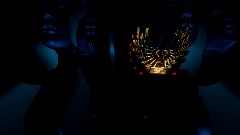 Bird Lady of Medial Subdivision