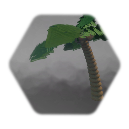 Palm / Coconut Tree