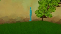 Morning in the forest