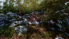 Realistic Forest