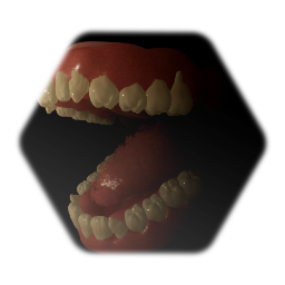 Realistic jaw