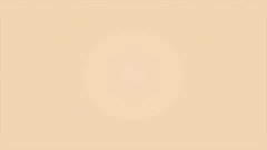 Case Solved Chapter 1, 2 and 3