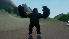 Kong