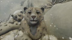 A screenshot taken in Dreams. 4 of 10.