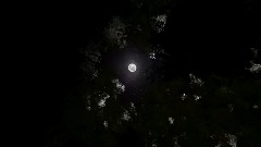 Bump In The Night (BITN) (BETA)