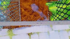 They have ants at the zoo