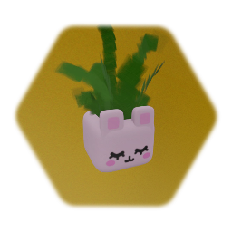Bunny plant