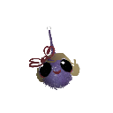 The_Kollector1