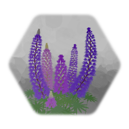 Flora 5