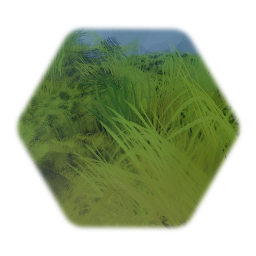 Grass Test